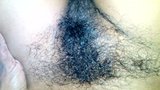 Harshi hairy pussy snapshot 1