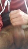 Un orso peloso con un grosso cazzo si masturba un sacco di sperma e lecca le dita pulite snapshot 1