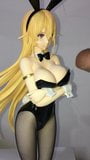 フィギュアぶっかけsof nakiri erina bunny snapshot 1