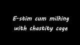 E-stim cum milking with chastity cage snapshot 1