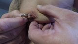 Inserimento del piercing circolare nel capezzolo sinistro snapshot 7