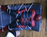 Spiderman recibe un ordeño snapshot 4