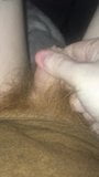 Ginger pubis, bite poilue, mâle snapshot 1