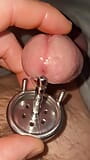 Close up flat chastity cage with urethral plug play snapshot 8