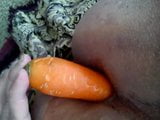 My ass and a carrot snapshot 1