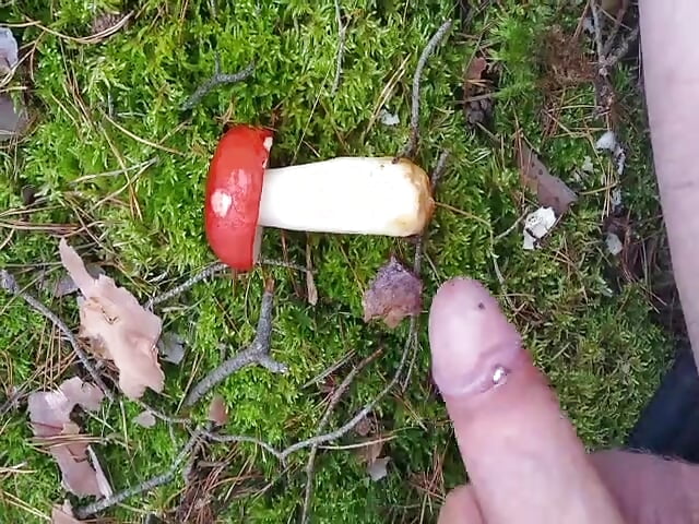 xH_Handy_Spass im Wald from 19.09.21