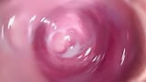 Camera inside my tight creamy pussy, Internal view of my horny vagina snapshot 15