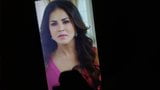 Sunny Leone e omaggio di sborra ep.7 p2 snapshot 2