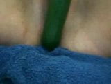 cucumber and bullet snapshot 11