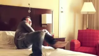 Townsville Backpage is Similar to Backpage: American African Porn ...
