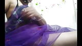 Bhabhi in saree snapshot 8