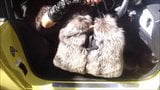 Silver Fox Fur Hoody coat & Fox fur Bag . snapshot 4