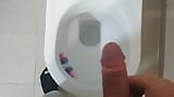 Masturbation en solo dans les toilettes snapshot 2