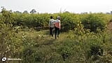 Indian Threesome Gay - Three college students romance each other in a flower field during their afternoon break - Gay Movie snapshot 1