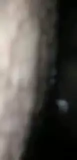 Booi daidi biyar ne bekri se yuva bbi ke bat ko pita snapshot 5