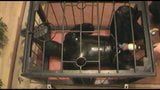 The Rubberpet in the cage snapshot 9