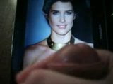 tribute to cobie smulders snapshot 1