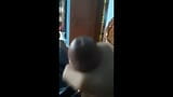 Hot masturbation indian boy -...... snapshot 8