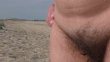 Femeie matură păroasă pe plajă snapshot 2