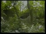 Babcia wiedźma rucha się w lesie snapshot 1