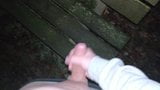 Nighttime cum on park bench snapshot 2