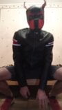 The puppy shows his body in leather snapshot 1