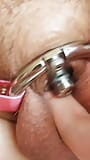 First time cumming in my inverted chastity device 5 inch urethral catheter tube snapshot 5
