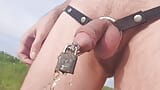 Outdoor walking and pissing locked in chastity device with urethral plug snapshot 8