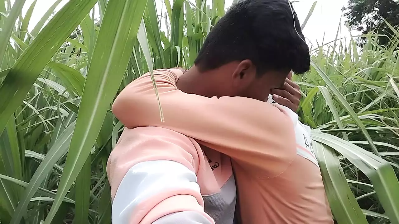Medan tebu, hutan, halte skuter listrik di luar ruangan, film gay dalam  bahasa india