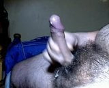 PELUDO snapshot 5