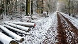 Harte Schläge auf die nackte Scheide im Winterwald snapshot 1