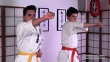 Dua karateka muda telanjang di bawah kimono mereka snapshot 4