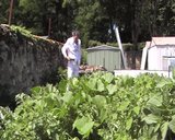transvestite outdoor garden cucomber man anal fisting  203 snapshot 2