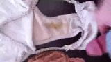 Mother in Law's dirty panties snapshot 1