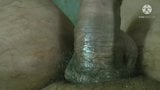 My Big and Tall Cock for u snapshot 9