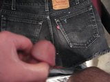 Jacking off to cumshot on my girls' old school cut offs snapshot 8