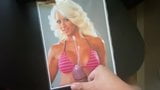 Трибьют спермы для Maryse в бикини snapshot 3