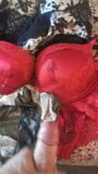 Satin pantie cums snapshot 1