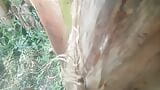 Natureza sexo .. sexo com bananeira .. parte 2 snapshot 13