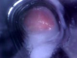 Camera Inside Fleshlight. snapshot 3