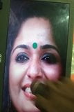 Kavya madhavan mallu 辣妈鸡巴致敬 snapshot 9