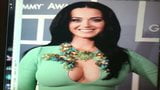 Katy Perry Tribute 2 snapshot 1