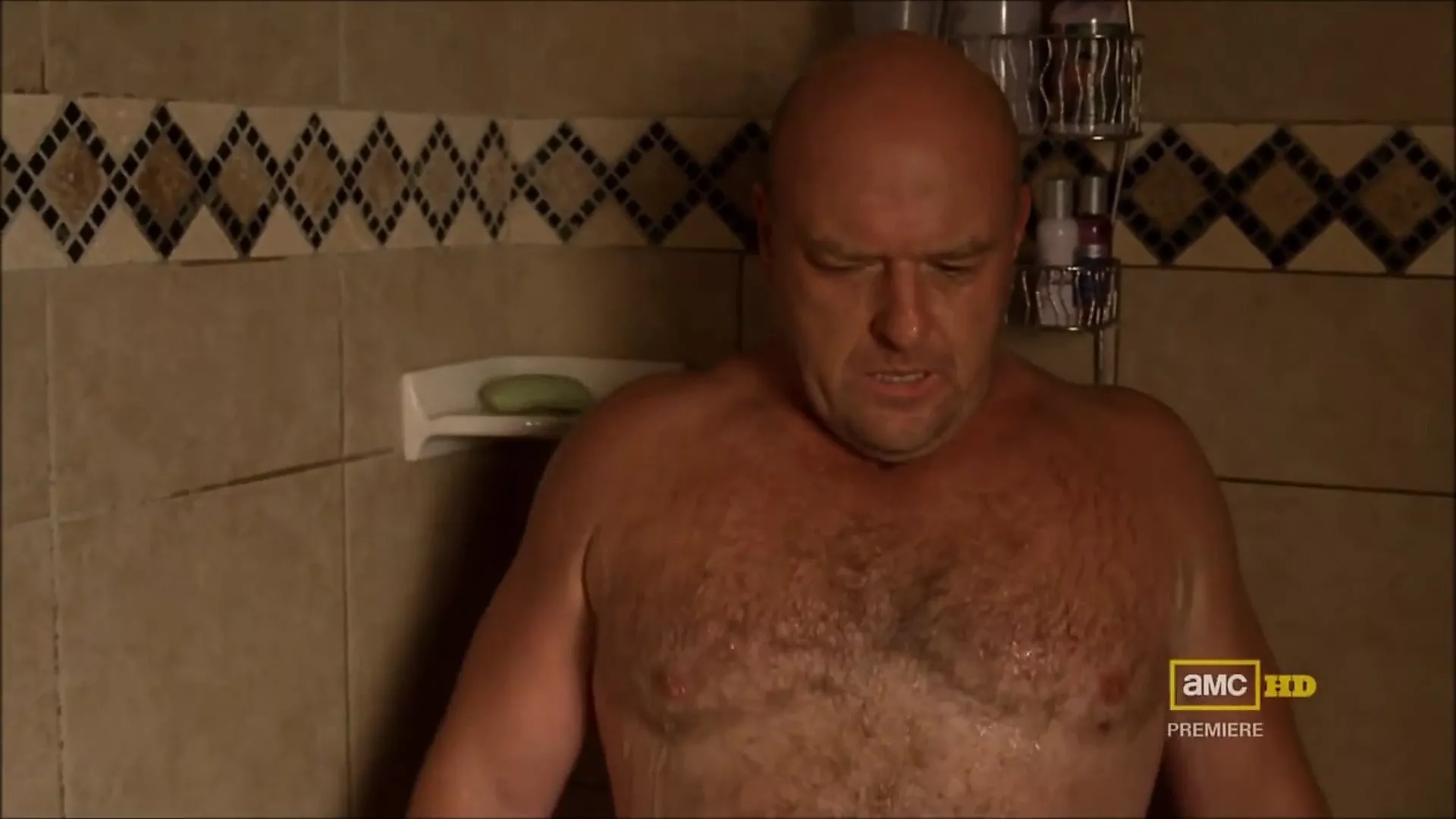 Hank Schrader. I want to come on you!