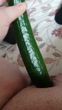 ALISON- BBW FROM SOUTH SHEILDS HAVING CUCUMBER FUN snapshot 5