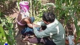 Индийский шмель в деревне лес, кукурузное поле трахается - фильмы дези на хинди snapshot 5