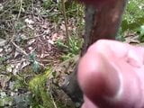 Wank in the woods snapshot 6