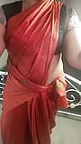 Saree Mami Seducing snapshot 10