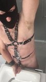 Slave in Harness with nipple clamps and cockrings jerking of snapshot 9