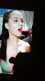 Katy Perry 2ª homenagem snapshot 2