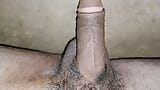 Desi cock is erect | Shaking cock in memory of X snapshot 2